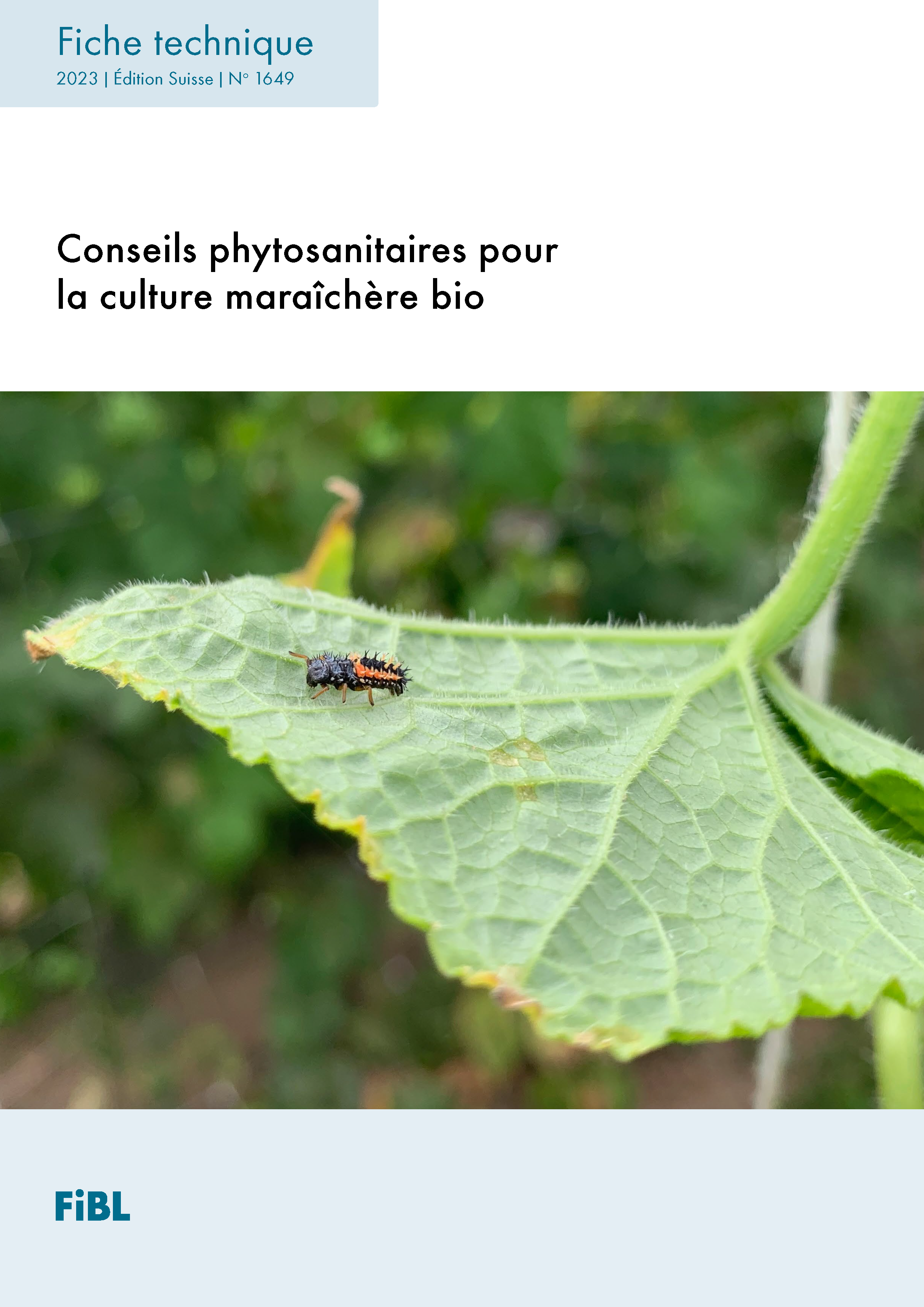 Conseils phytosanitaires pour la culture maraîchère biologique