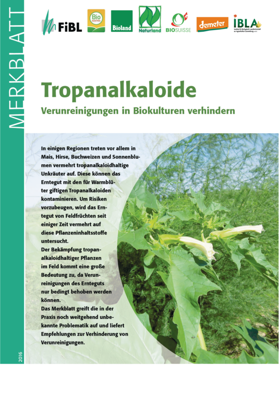 Tropanalkaloide