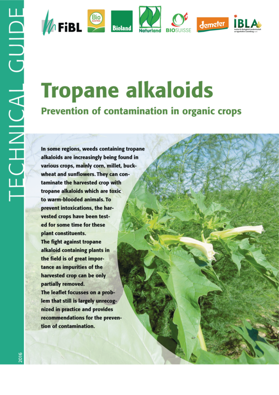 Cover: Tropane alkaloids