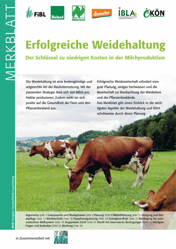 Cover: Erfolgreiche Weidehaltung