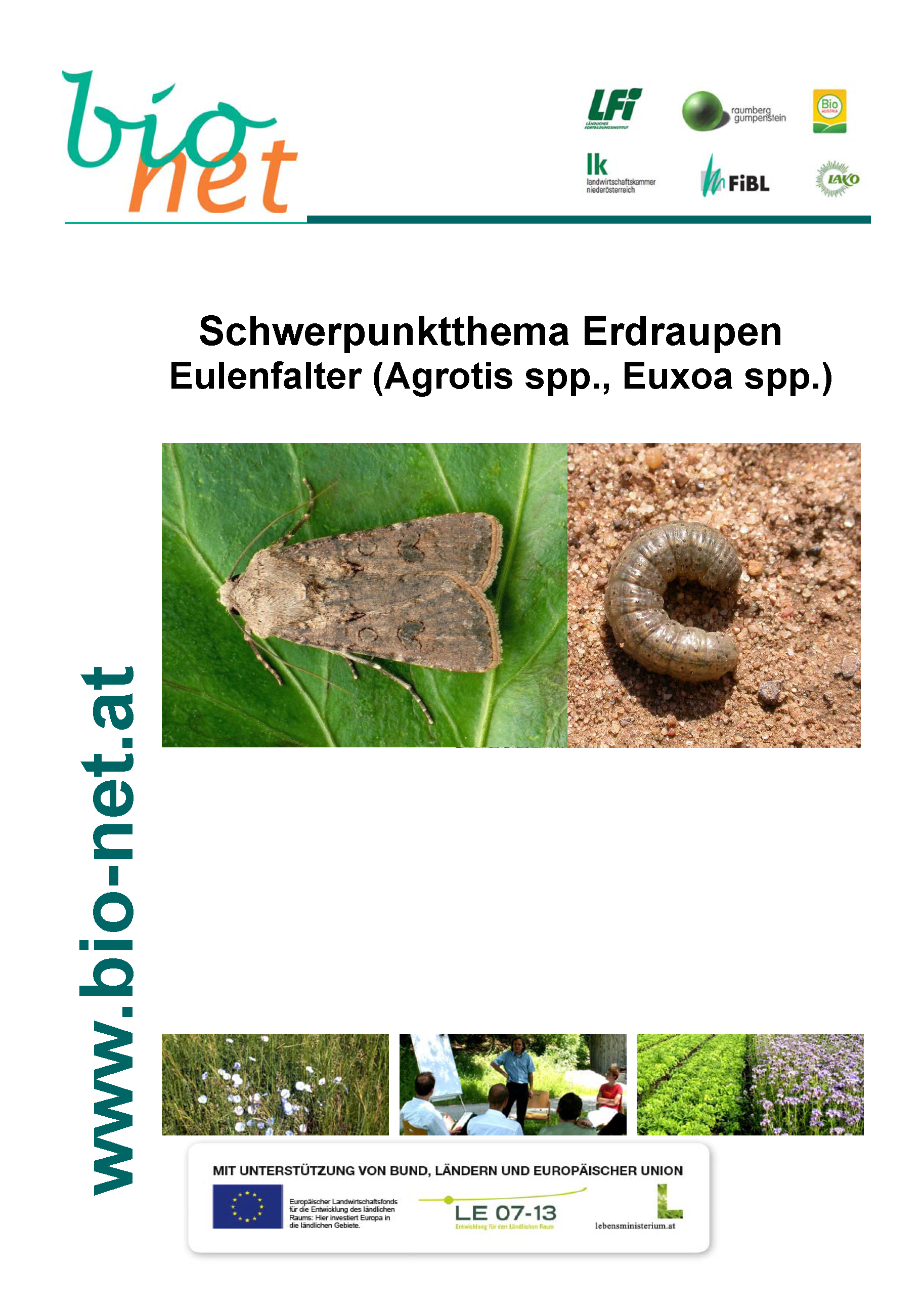 Schwerpunktthema Erdraupen Eulenfalter (Agrotis spp., Euxoa spp.)