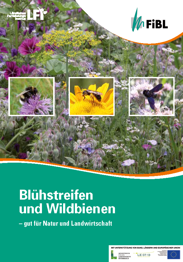 Cover: Blühstreifen und Wildbienen