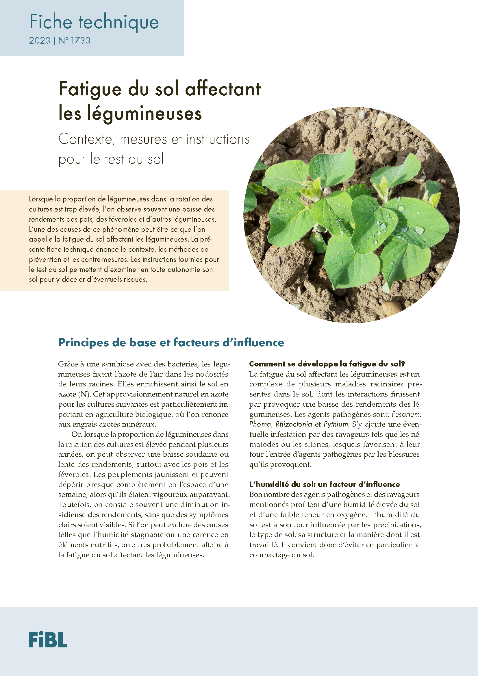 Cover: Fatigue du sol affectant les légumineuses