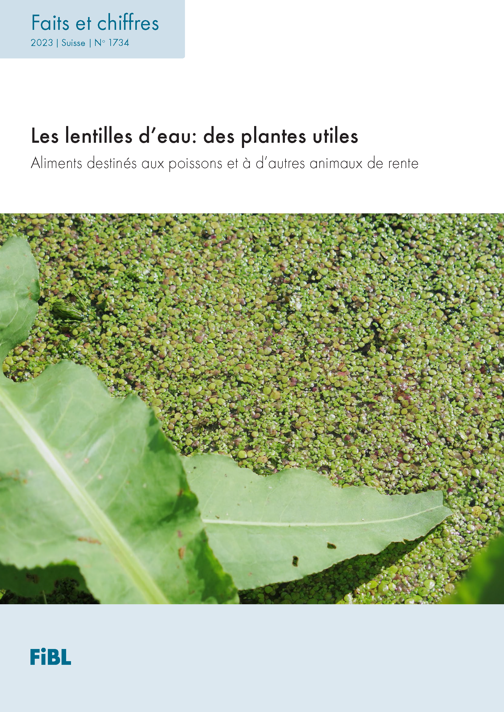 Cover: Les lentilles d’eau: des plantes utiles