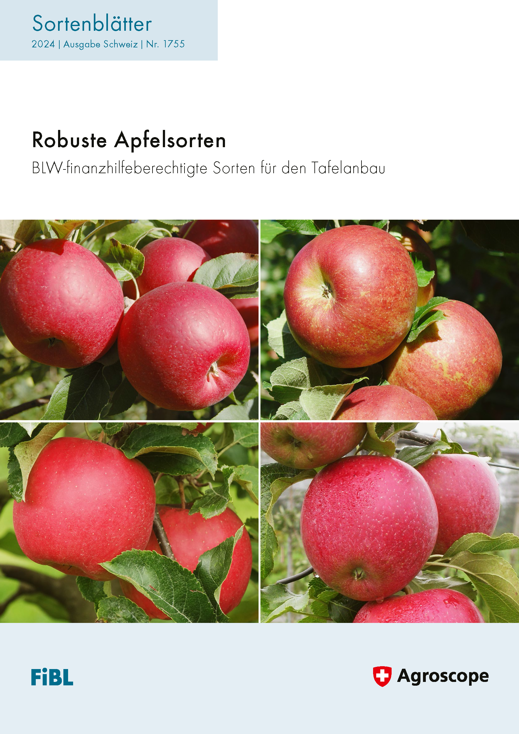 Cover: Robuste Apfelsorten