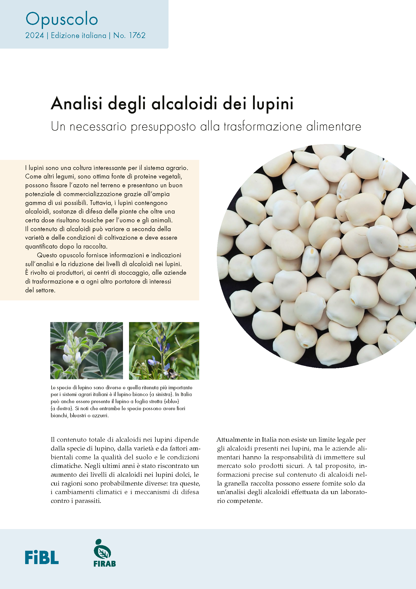 Analisi degli alcaloidi dei lupini