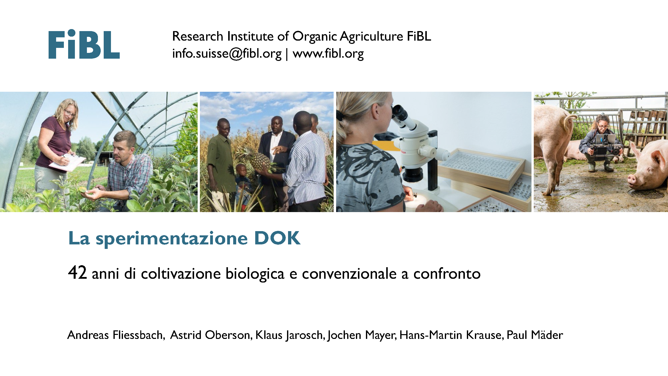 La sperimentazione DOK