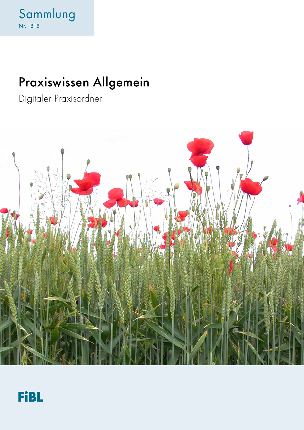 Praxiswissen Allgemein