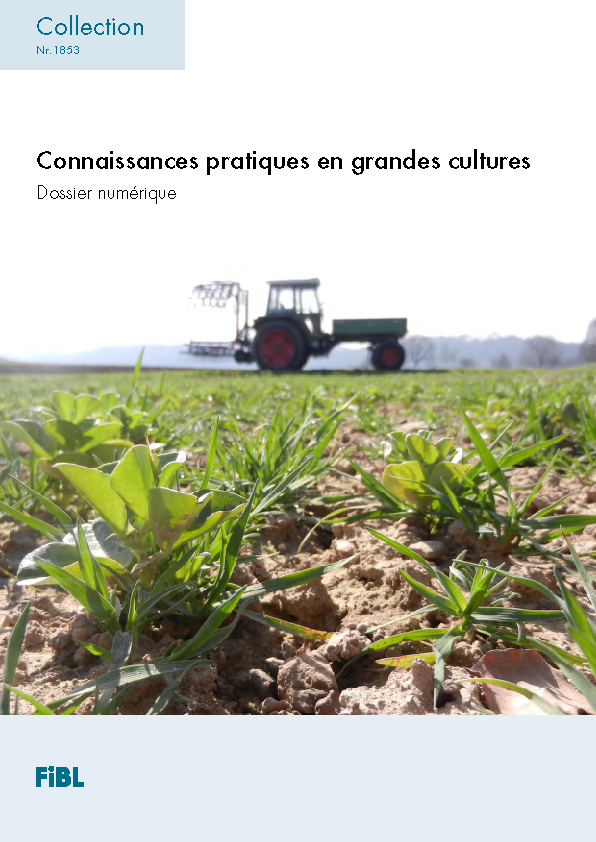 Connaissances pratiques en grandes cultures