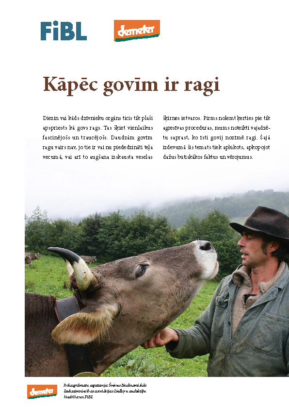 Cover: Kāpēc govīm ir ragi