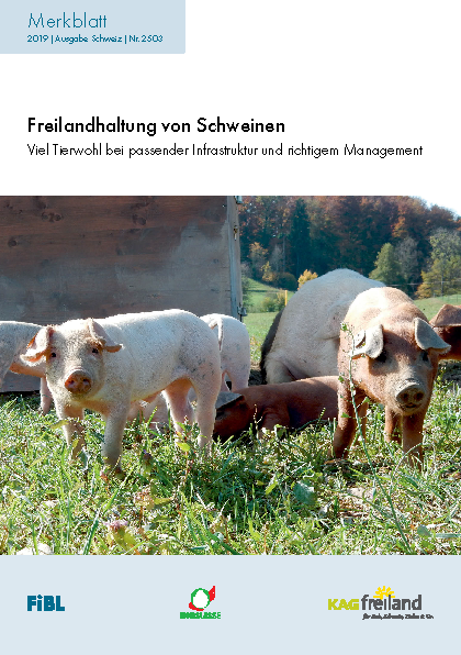 Cover: Freilandhaltung von Schweinen