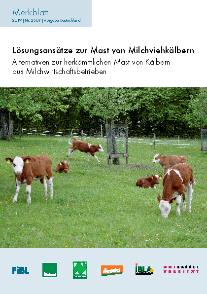 Cover: Lösungsansätze zur Mast von Milchviehkälbern