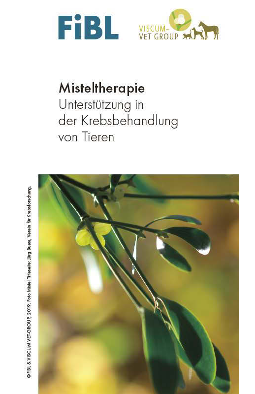 Misteltherapie