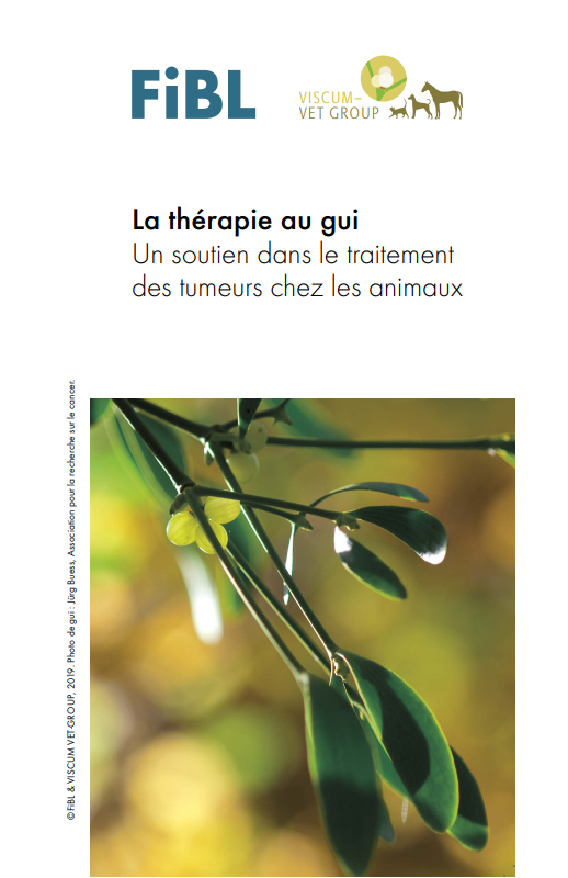 Cover: La thérapie au gui