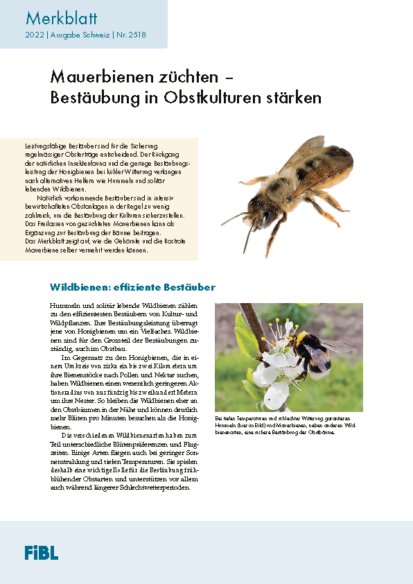 Cover: Mauerbienen als Bestäuber pflegen und vermehren