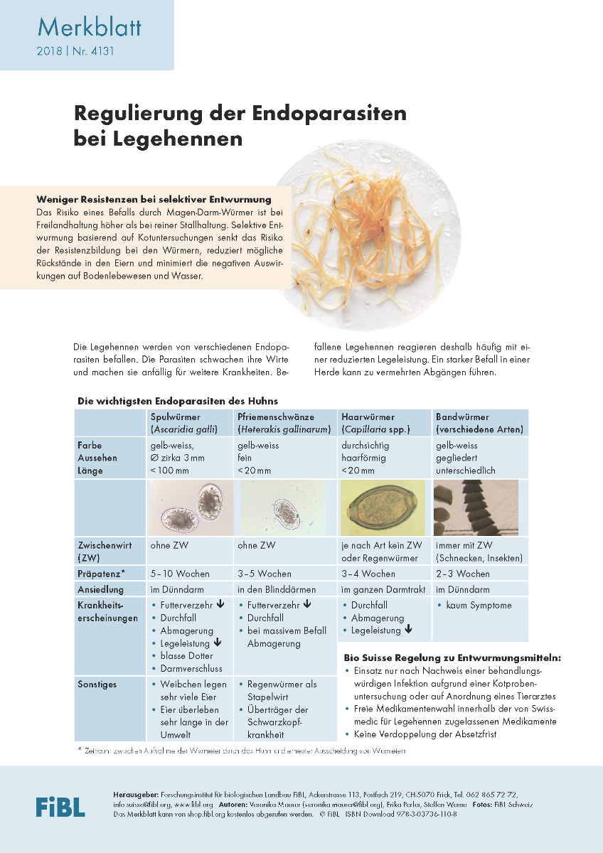 Regulierung der Endoparasiten bei Legehennen