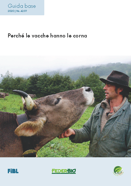 Cover: Perché le vacche hanno le corna