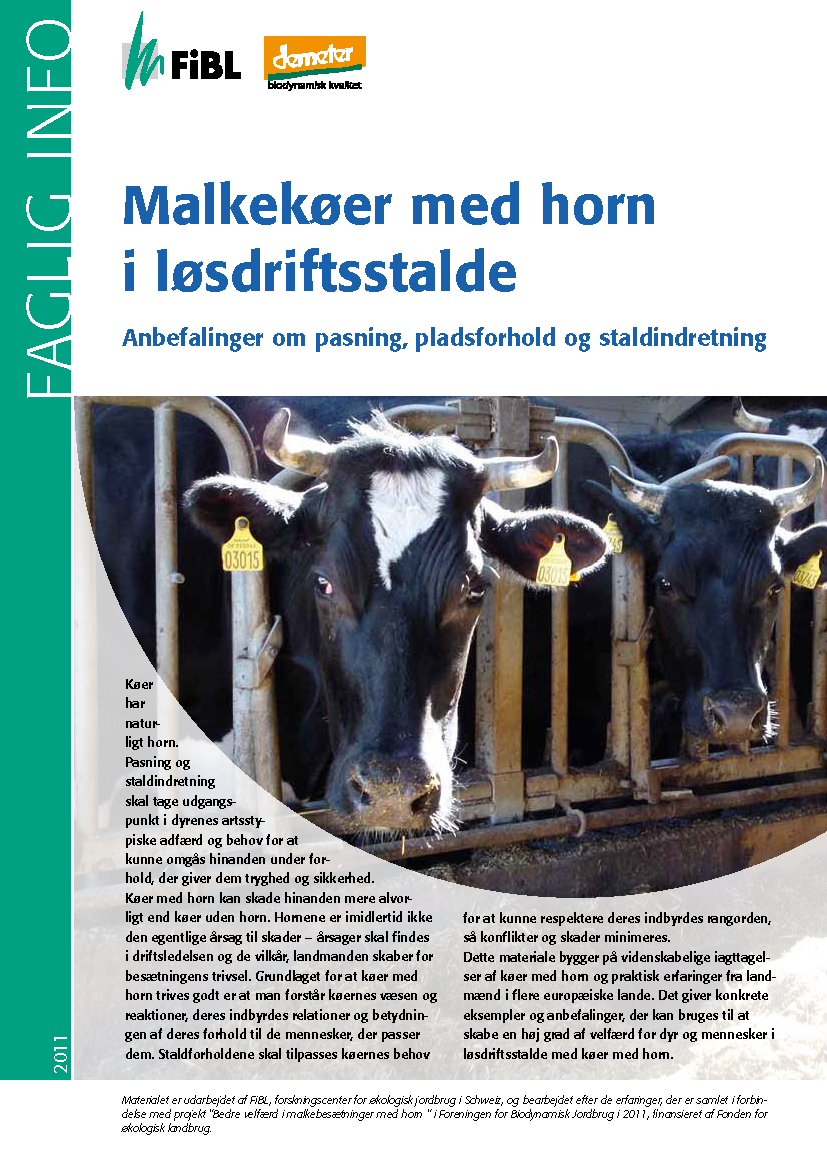 Cover: Malkekøer med horn i løsdriftsstalde