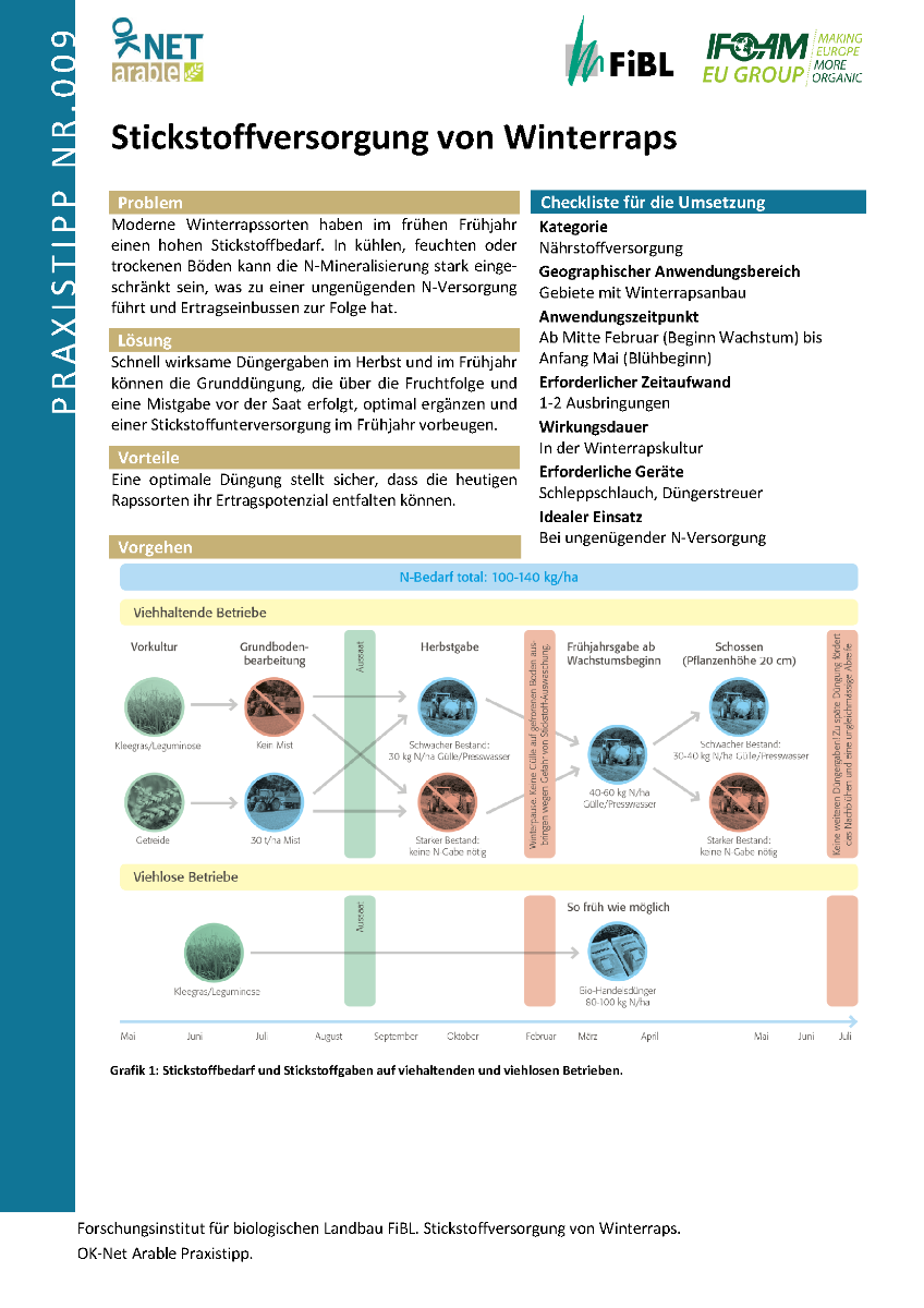 Stickstoffversorgung von Winterraps