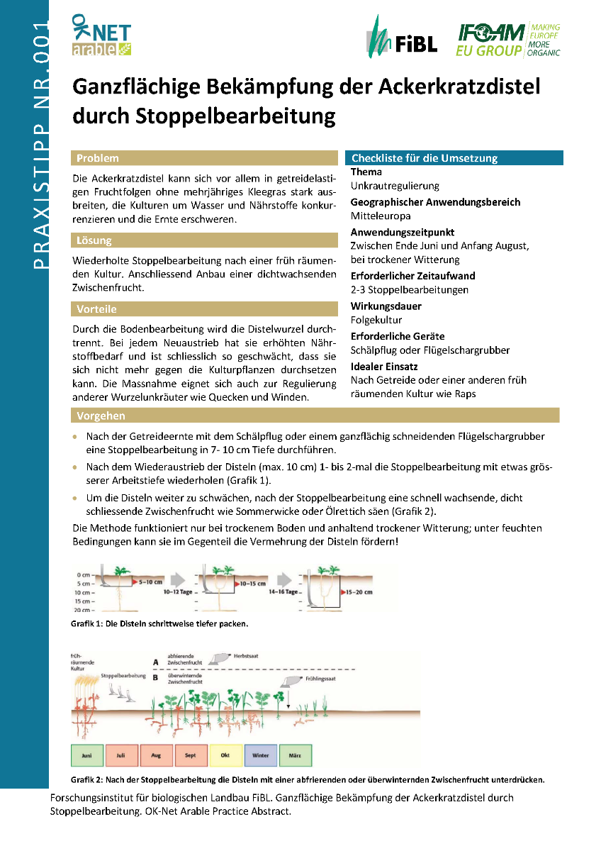 Cover: Ganzflächige Bekämpfung der Ackerkratzdistel durch Stoppelbearbeitung