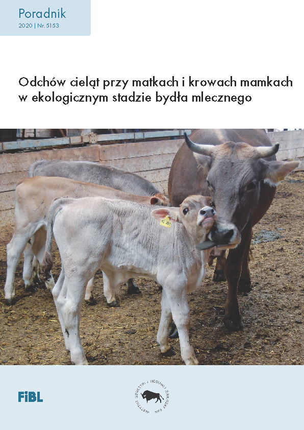 Cover: Odchów cieląt przy matkach i krowach mamkach w ekologicznym stadzie bydła mlecznego