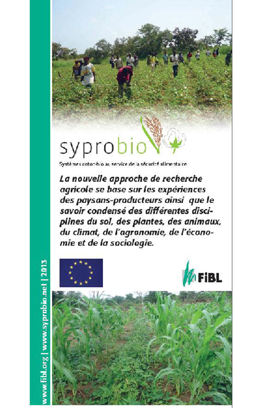 syprobio - Systèmes coton-bio au service de la sécurité alimentaire